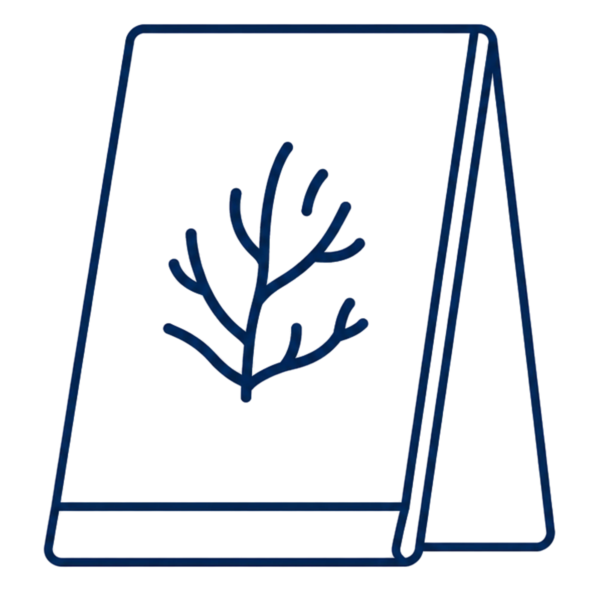 ICONE PRO 3