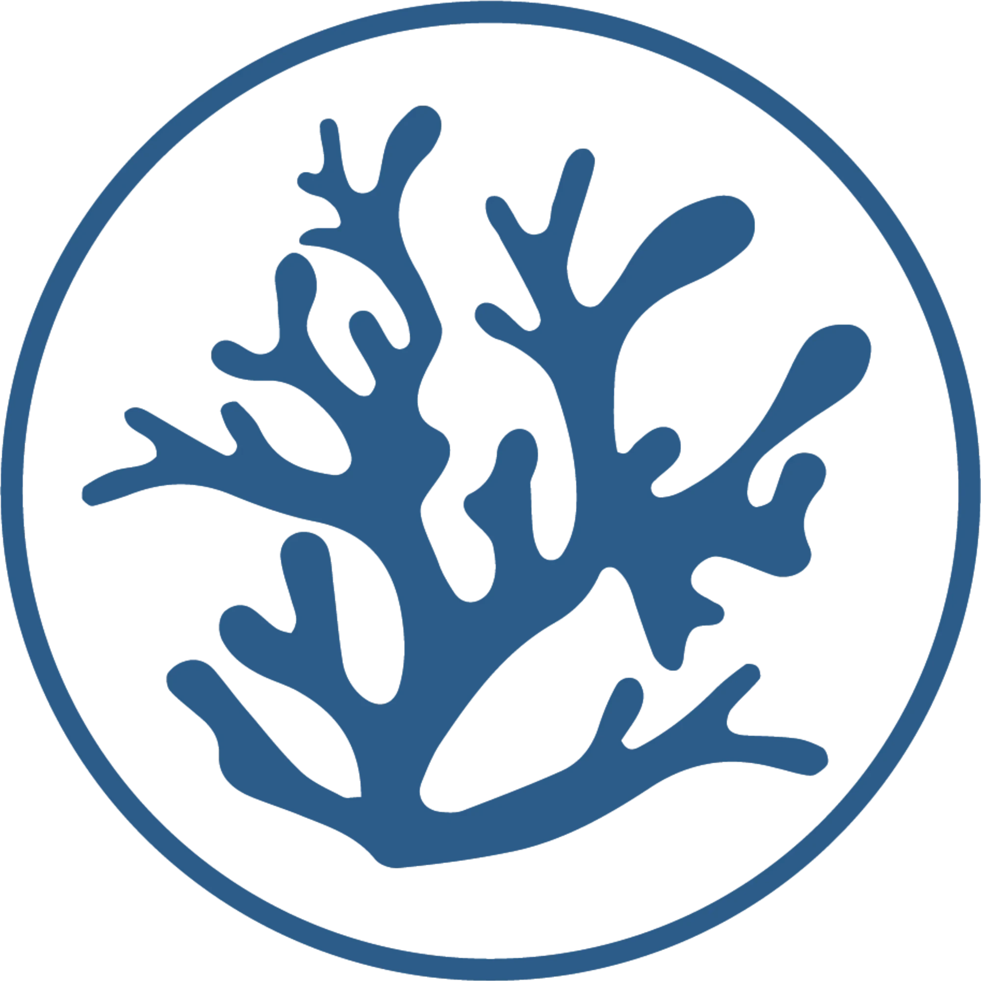 Korai Logo Corail